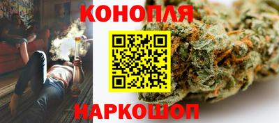 прущие крисы Будённовск