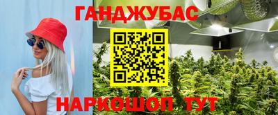 прущие крисы Будённовск