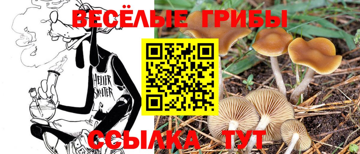 Псилоцибиновые грибы Magic Shrooms Великие Луки