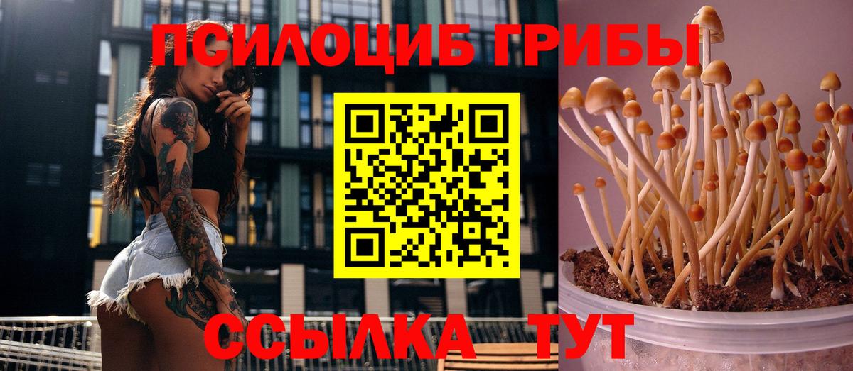 Великие Луки  Псилоцибиновые грибы Magic Shrooms  Вход с VPN 