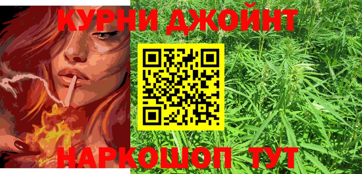 Каннабис план  Бошки Шишки OG Kush  Великие Луки  Вход с VPN  Бошки марихуана сатива 